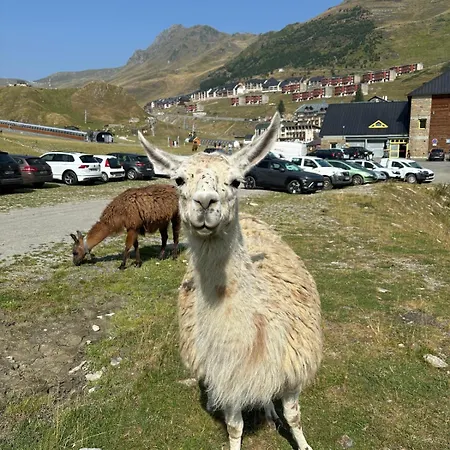 Le Martheo 70 M2 6 A 8 Personnes Horizons アパート ラ・モンジー